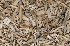biomass boilers Scrapton