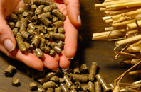 free Scrapton biomass boiler quotes